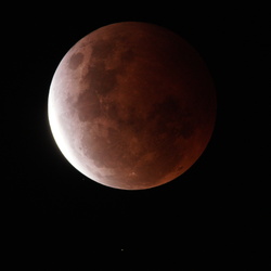 May Moon
